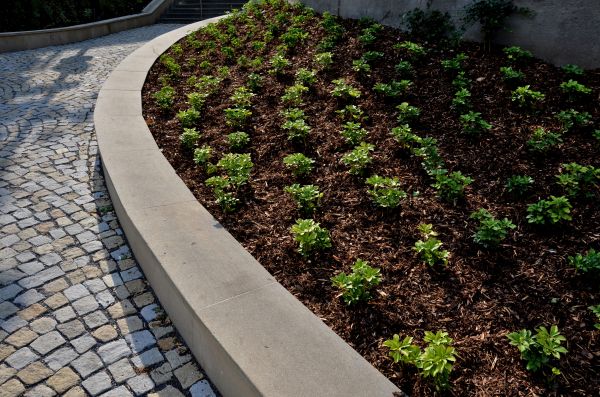 Commercial Mulching in Prescott Valley