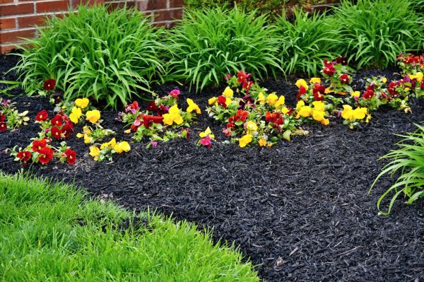 Apartment Mulching in Prescott Valley