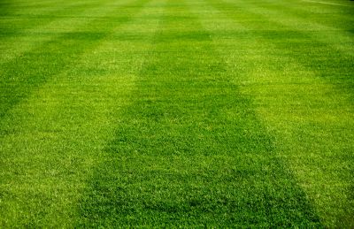 Clean Lawn Surface